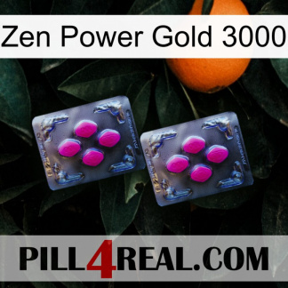 Zen Power Gold 3000 01